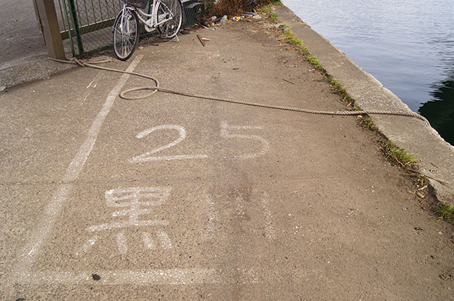 入って左側の1台(25番)