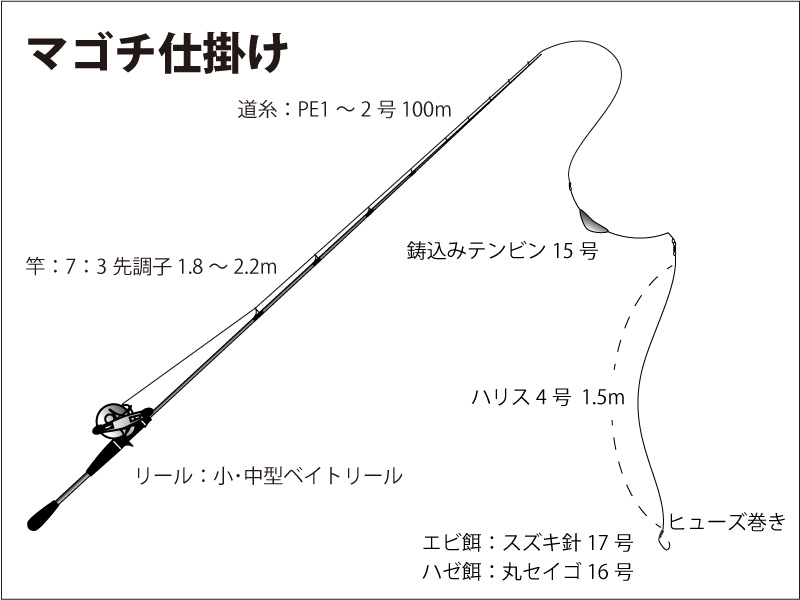 マゴチ